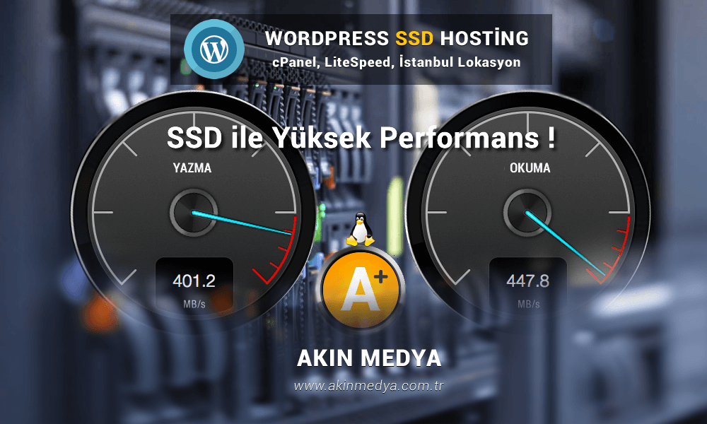 WordPress SSD Hosting